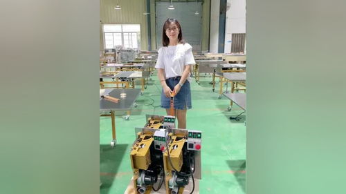 無(wú)塵子母鋸 推臺(tái)鋸 木工臺(tái)鋸 封邊機(jī) 無(wú)刷電機(jī) 木工鋸臺(tái) 折疊推臺(tái)鋸 質(zhì)量杠杠的好 總有一款適合你